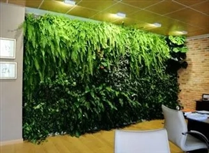 طراحی و اجرای دیوار سبز خزر بام سبز گرین وال روف گاردن