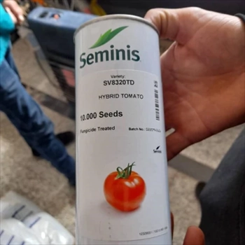 بذر گوجه سمینیس 8320، بذر گوجه فرنگی Seminis
