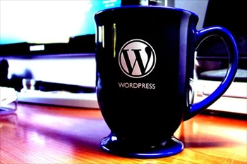 آموزش طراحی سایت با ورد پرس (WordPress) -مشهد