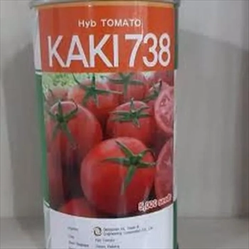 بذر گوجه کاکی ۷۳۸