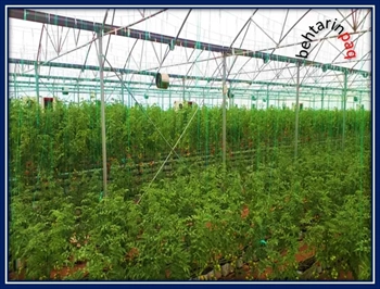 گلخانه آماده و فعال با صادرات - منطقه آزاد ارس