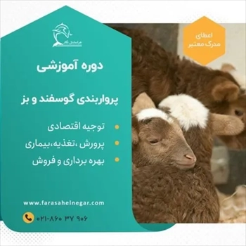 دوره آموزشی پرواربندی گوسفند و بز