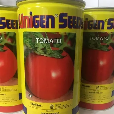 فروش-بذر-گوجه-فرنگی-یونی-ژن