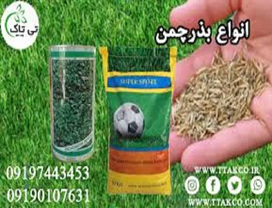 بذرچمن--هرکیلو-بذرچمن-برای-چند-متر-09190768462