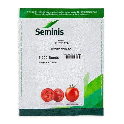 فروش-بذر-گوجه-برنتا-سمینیس-آمریکا