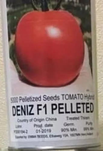 گوجه-فضای-باز-دنیز-بذر