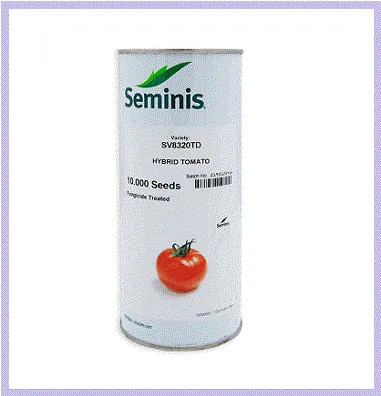 فروش-بذر-گوجه-8320-seminis-آمریکا