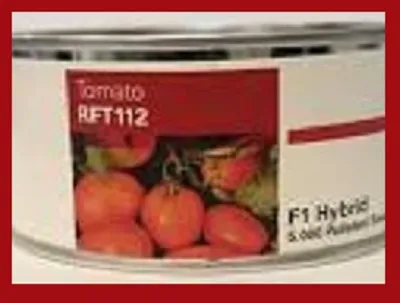 فروش-بذر-گوجه-فرنگی-rft-112