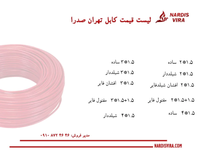 ناردیس-ویرا-نمایندگی-کابل-اعلام-حریق-تهران-صدرا