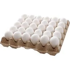 فروش-عمده-تخم-مرغ-درب-مرغ-داری-بدون-واسطه
