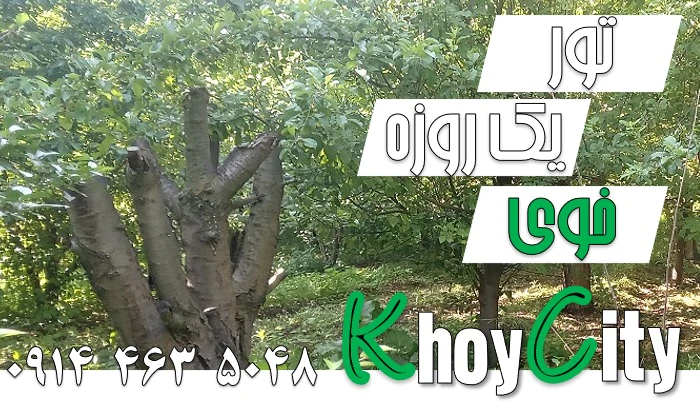 تور-یک-روزه-خوی-(1405)