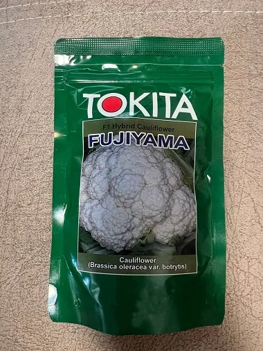 فروش-بذر-گل-کلم-توکیتا-فوجی-یاما-ژاپن