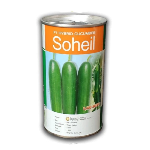 بذر-خیار-سهیل