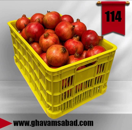 سبد-20-کیلوی-کیوی-سبد-سورتینگ-میوه-سبد-مرکبات