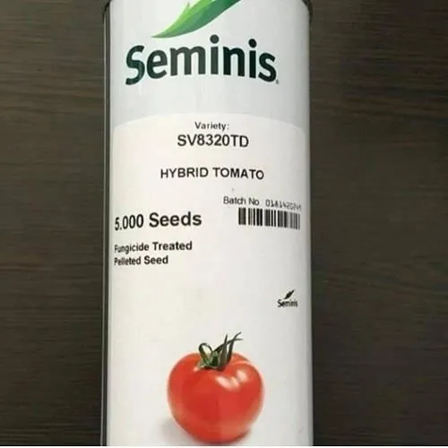 قیمت-بذر-گوجه-فرنگی-سمینس-8320