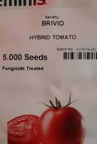 فروش-بذر-گوجه-فرنگی-بریویو-سمینس