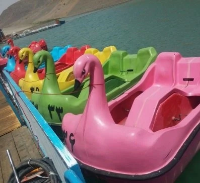 قایق-پدالی-قو-در-رنگ-های-مختلف