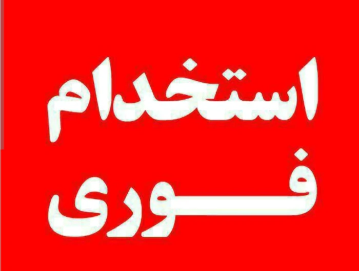 کاردر-منزل-برای-خانمهای-خانه-دار-جوابگوی-تلفنی