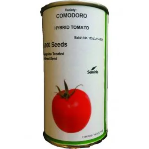 بذر-گوجه-فرنگی-کومودورو-سمینیس