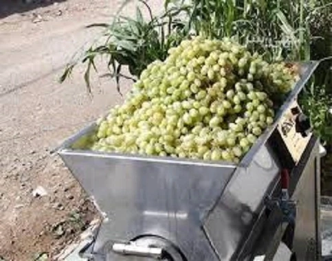 فروش-دستگاه-آبغوره-گیری-تسمه-ای-با-شرایط-ویژه