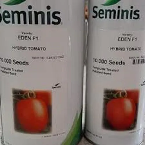 فروش-بذر-گوجه-ایدن-سمینیس
