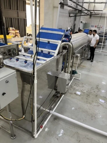 خط-تولید-محصولات-نیمه-اماده-منجمد-و-فرنچ-فرایز