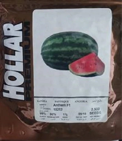 بذر-هندوانه-آنتم-محصول-شرکت-هولار-آمریکا
