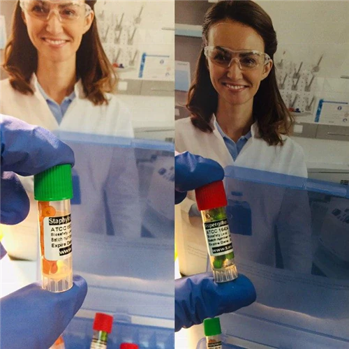 سوش-باکتری--staphylococcus-aureus