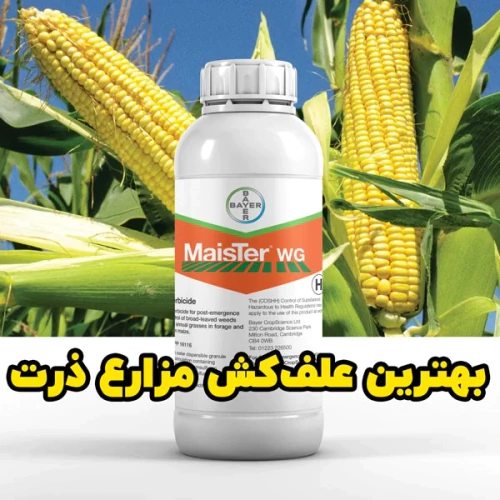 سفارش-مستقیم-سم-علف‌کش-maister-برای-مزارع-ذرت