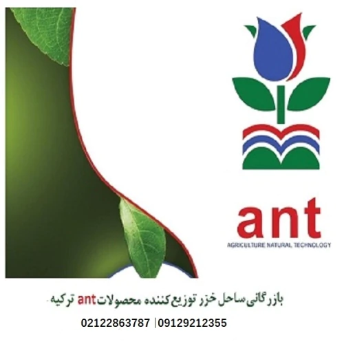کود-ant-turkey