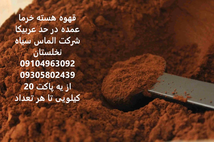 قهوه-هسته-خرما-عمده-باکیفیت-در-حد-عربیکا-اصل