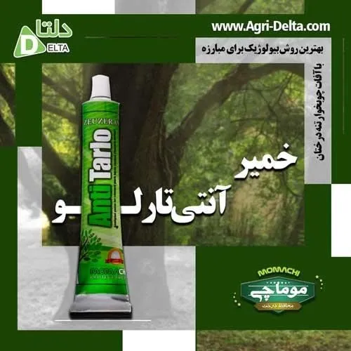 فروش-خمیر-آنتی-تارلو