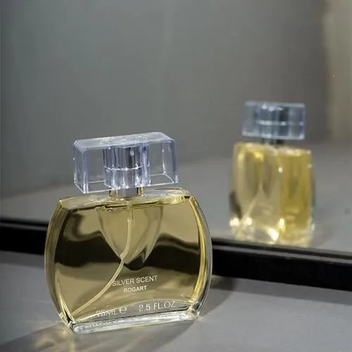 1000-عطر-مردانه-مدل-silver-scent-(2024)