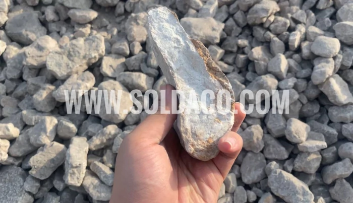 فروش-ویژه-سلستین