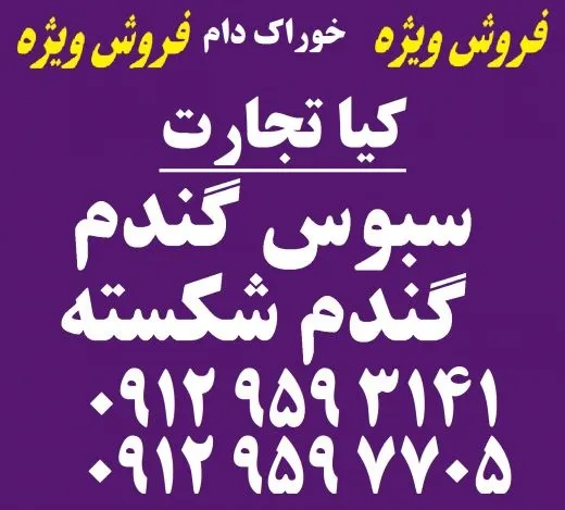 فروش-گندم-شکسته-و-سبوس-گندم