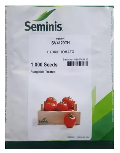 فروش-بذر-گوجه-فرنگی-4129