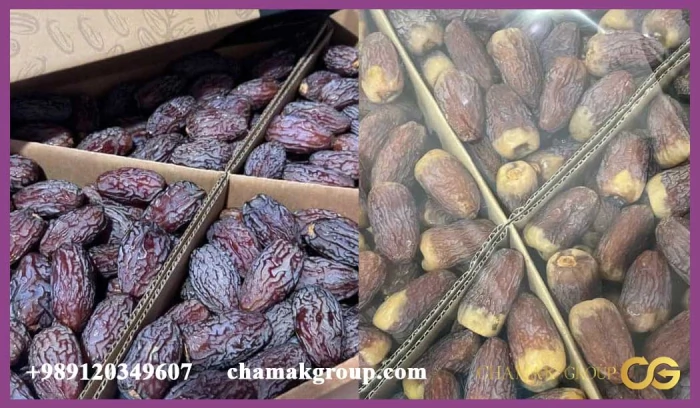 خرید-خرمای-مجول-مراکشی-و-فلسطینی-کیفیت-صادراتی