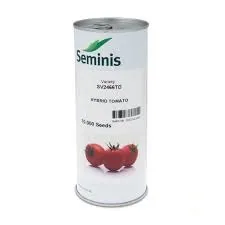 بذر-گوجه-sv-2466-سیمینس