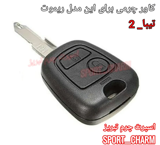 جاسوئیچی-و-کاور-ریموت-چرمی-تیبا-2-کد_13