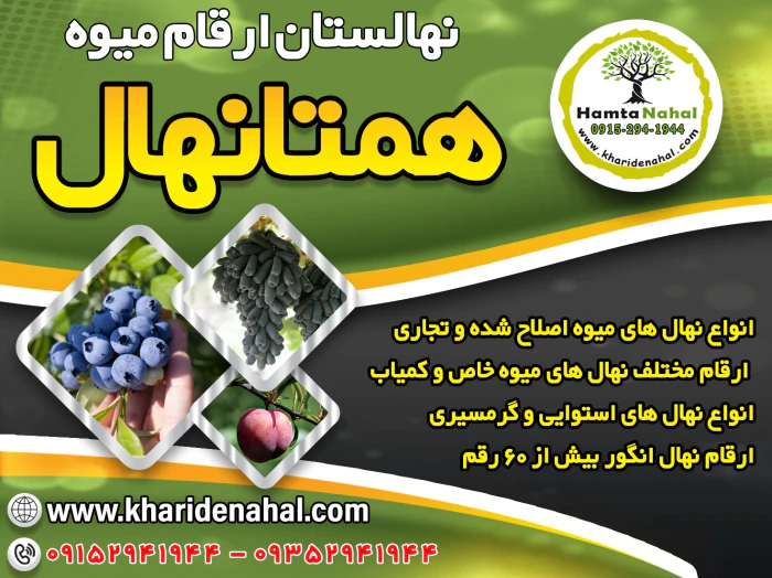 فروش-انواع-نهال-میوه-اصلاح-شده-(1404)