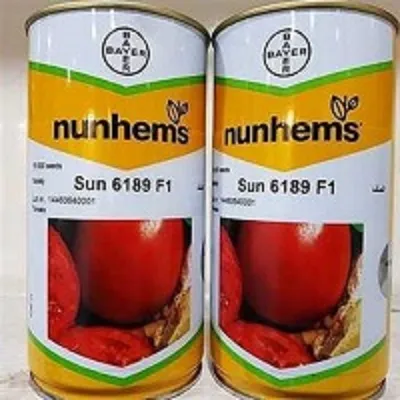 قیمت-بذر-گوجه-هیبرید-6189