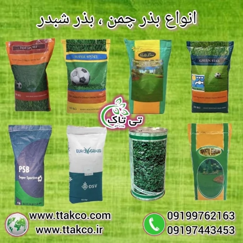 فروش-بذر-چمن-:-مناسب-باغ--ویلا-و-فضای-سبز