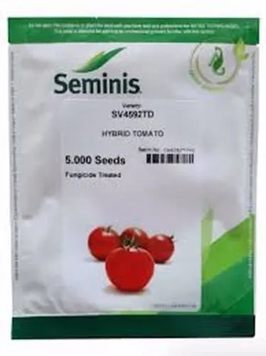 بذر-گوجه-فرنگی-هیبرید-4592-سمینس