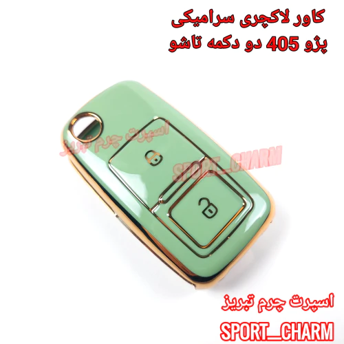 کاور-لاکچری-برای-ریموت-پژو-دو-دکمه-چاقویی-405