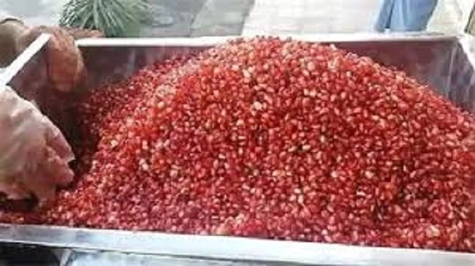 خرید-و-فروش-دستگاه-آب-انار-گیری