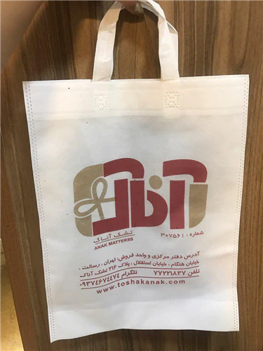 ساک-دستی