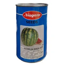 فروش-بذر-هندوانه-نیاگارا