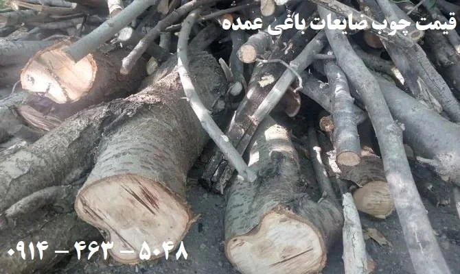 قیمت-چوب-هرس-شده-عمده-(1404)
