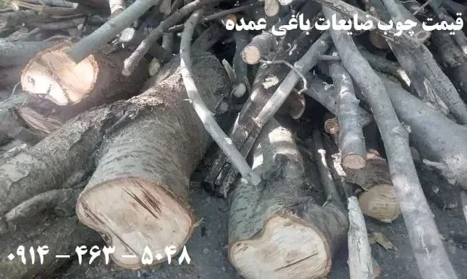 خرید-چوب-ضایعاتی-باغی-عمده-(1405)