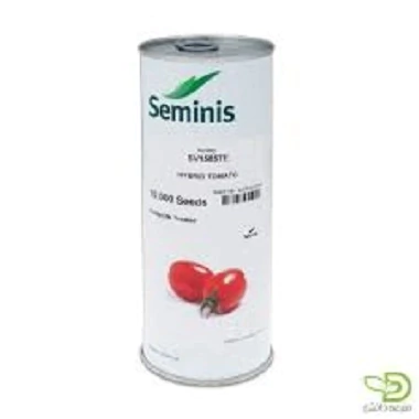 فروش-بذر-گوجه-فرنگی-1585-سمینیس